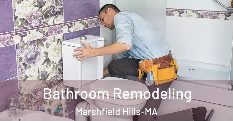inner Bathroom imggen Bathroom Remodeling Marshfield Hills-MA