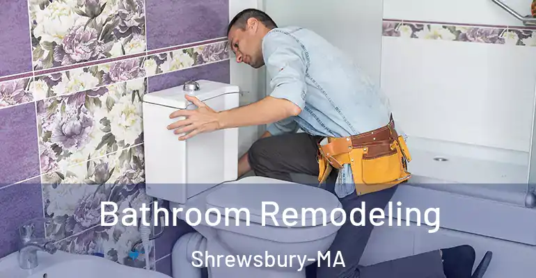 inner Bathroom imggen Bathroom Remodeling Shrewsbury-MA