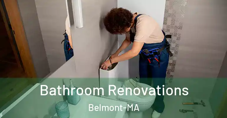 inner Bathroom imggen Bathroom Renovations Belmont-MA