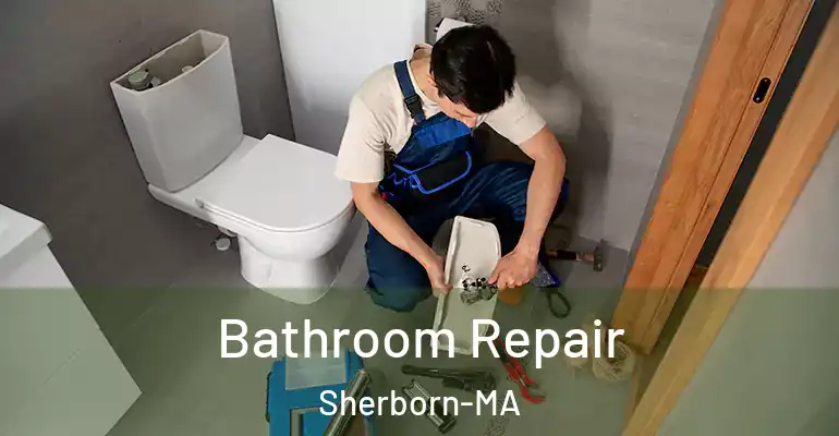 inner Bathroom imggen Bathroom Repair Sherborn-MA
