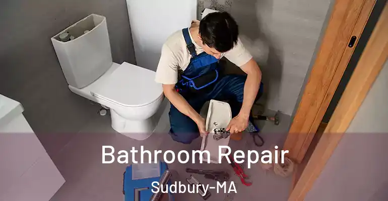 inner Bathroom imggen Bathroom Repair Sudbury-MA