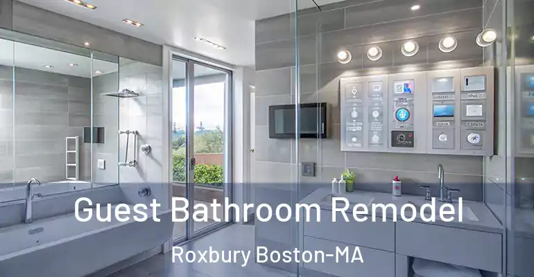 inner Bathroom imggen Guest Bathroom Remodel Roxbury Boston-MA