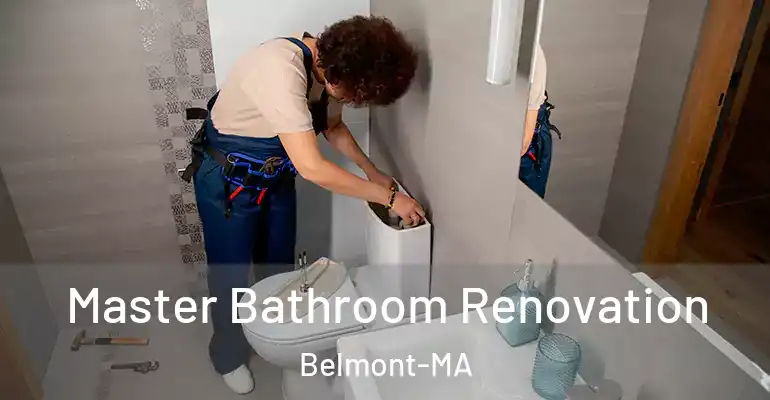 inner Bathroom imggen Master Bathroom Renovation Belmont-MA
