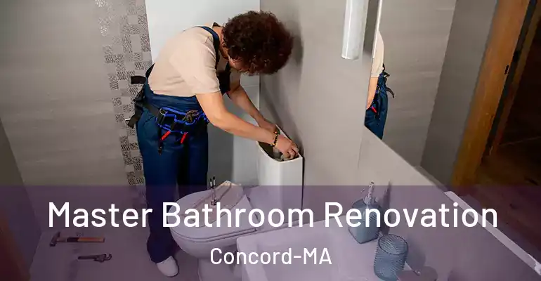 inner Bathroom imggen Master Bathroom Renovation Concord-MA