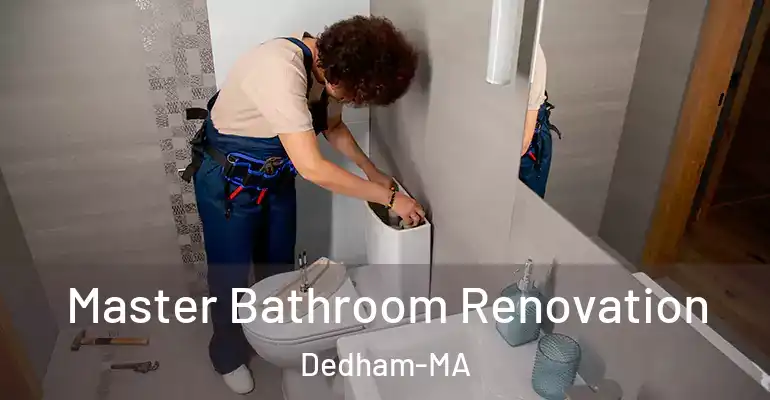 inner Bathroom imggen Master Bathroom Renovation Dedham-MA