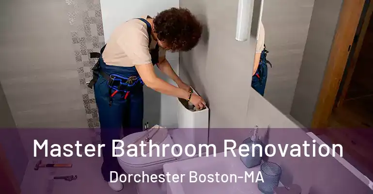 inner Bathroom imggen Master Bathroom Renovation Dorchester Boston-MA