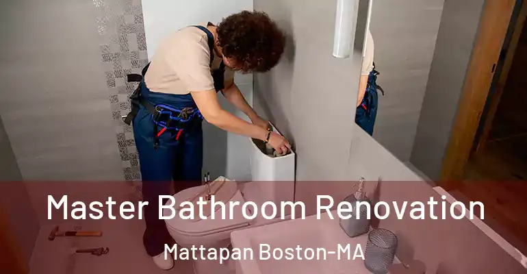 inner Bathroom imggen Master Bathroom Renovation Mattapan Boston-MA