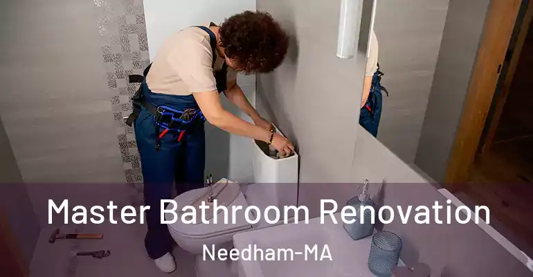 inner Bathroom imggen Master Bathroom Renovation Needham-MA