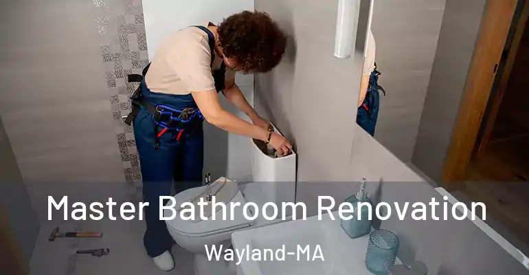 inner Bathroom imggen Master Bathroom Renovation Wayland-MA