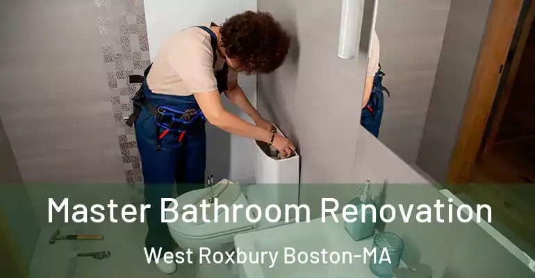 inner Bathroom imggen Master Bathroom Renovation West Roxbury Boston-MA