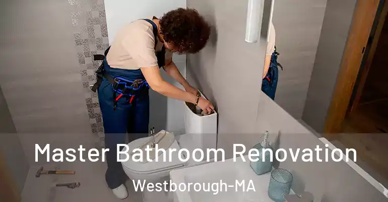 inner Bathroom imggen Master Bathroom Renovation Westborough-MA