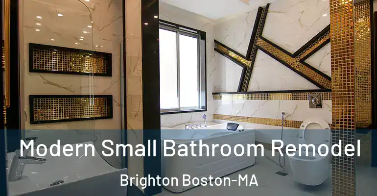 inner Bathroom imggen Modern Small Bathroom Remodel Brighton Boston-MA