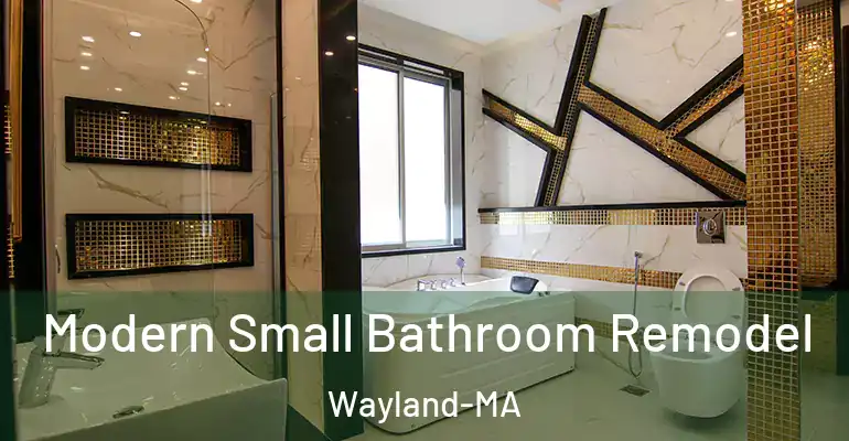 inner Bathroom imggen Modern Small Bathroom Remodel Wayland-MA