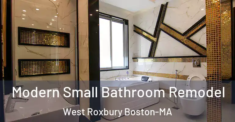 inner Bathroom imggen Modern Small Bathroom Remodel West Roxbury Boston-MA