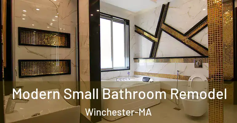 inner Bathroom imggen Modern Small Bathroom Remodel Winchester-MA