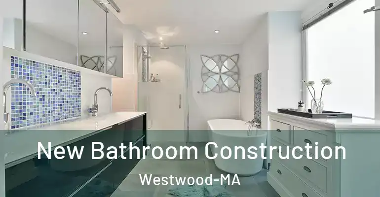 inner Bathroom imggen New Bathroom Construction Westwood-MA
