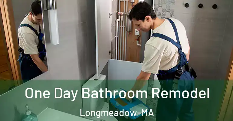 inner Bathroom imggen One Day Bathroom Remodel Longmeadow-MA