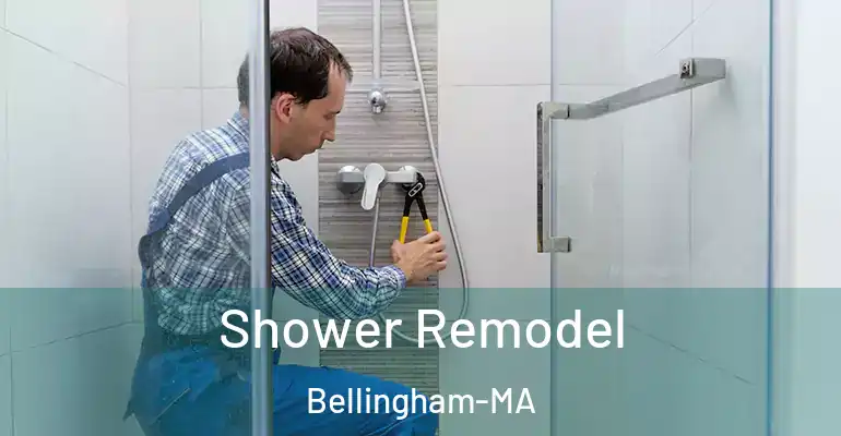 inner Bathroom imggen Shower Remodel Bellingham-MA