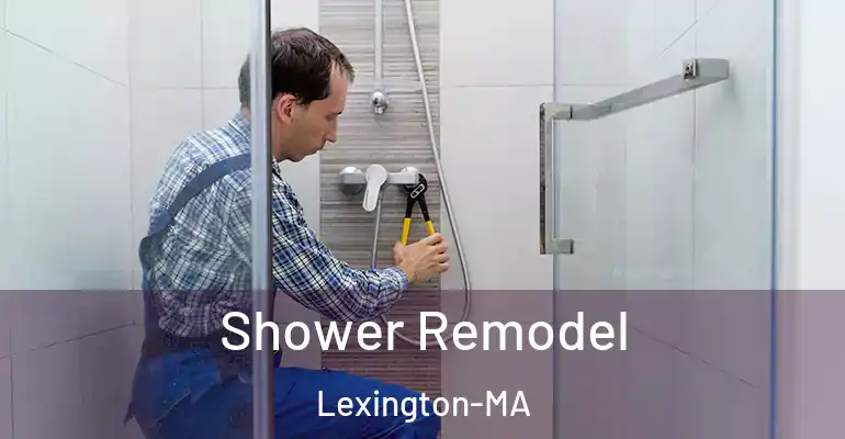 inner Bathroom imggen Shower Remodel Lexington-MA