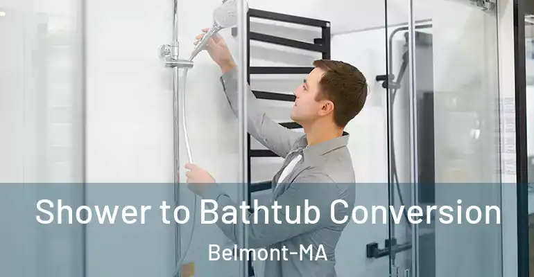 inner Bathroom imggen Shower to Bathtub Conversion Belmont-MA