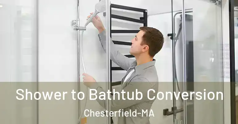 inner Bathroom imggen Shower to Bathtub Conversion Chesterfield-MA