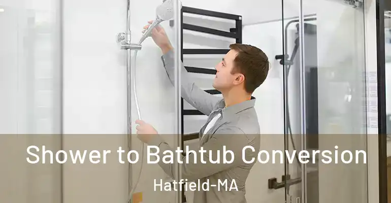 inner Bathroom imggen Shower to Bathtub Conversion Hatfield-MA