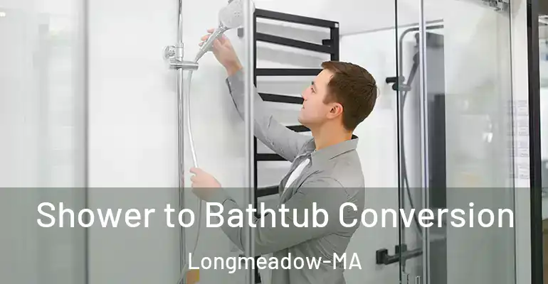 inner Bathroom imggen Shower to Bathtub Conversion Longmeadow-MA