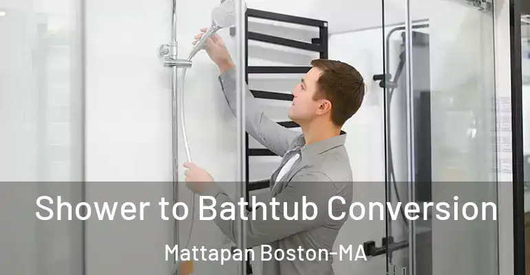 inner Bathroom imggen Shower to Bathtub Conversion Mattapan Boston-MA
