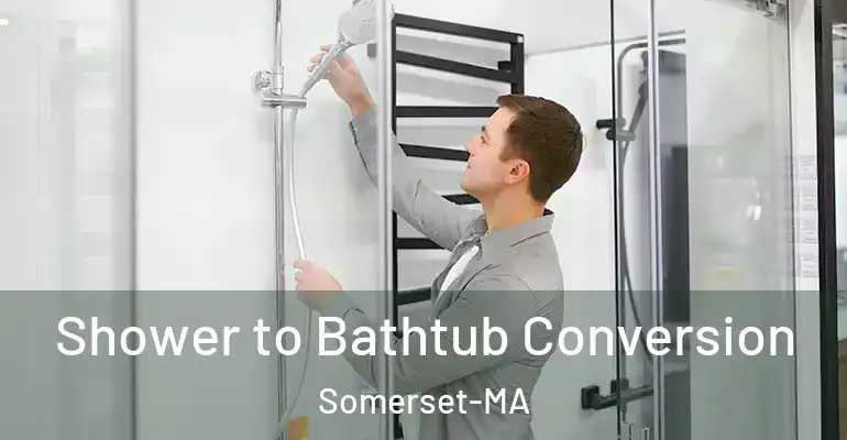 inner Bathroom imggen Shower to Bathtub Conversion Somerset-MA