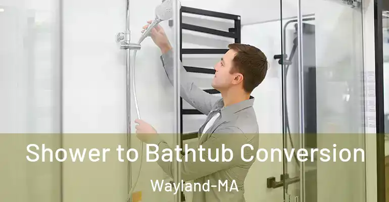 inner Bathroom imggen Shower to Bathtub Conversion Wayland-MA
