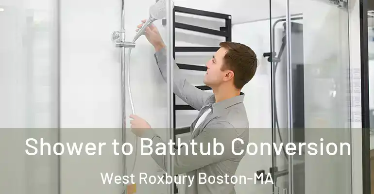 inner Bathroom imggen Shower to Bathtub Conversion West Roxbury Boston-MA