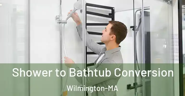 inner Bathroom imggen Shower to Bathtub Conversion Wilmington-MA