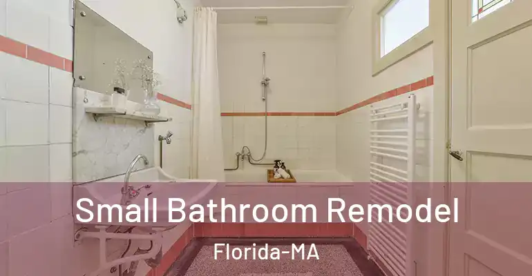 inner Bathroom imggen Small Bathroom Remodel Florida-MA
