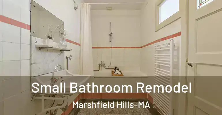 inner Bathroom imggen Small Bathroom Remodel Marshfield Hills-MA