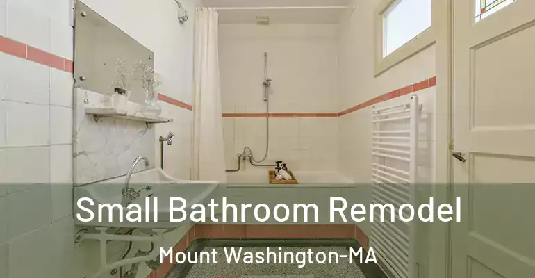 inner Bathroom imggen Small Bathroom Remodel Mount Washington-MA
