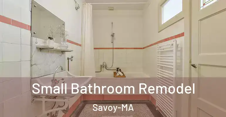 inner Bathroom imggen Small Bathroom Remodel Savoy-MA