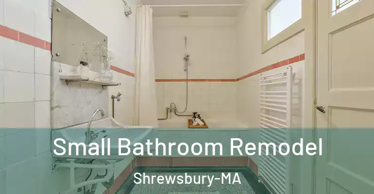 inner Bathroom imggen Small Bathroom Remodel Shrewsbury-MA