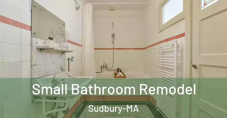 inner Bathroom imggen Small Bathroom Remodel Sudbury-MA
