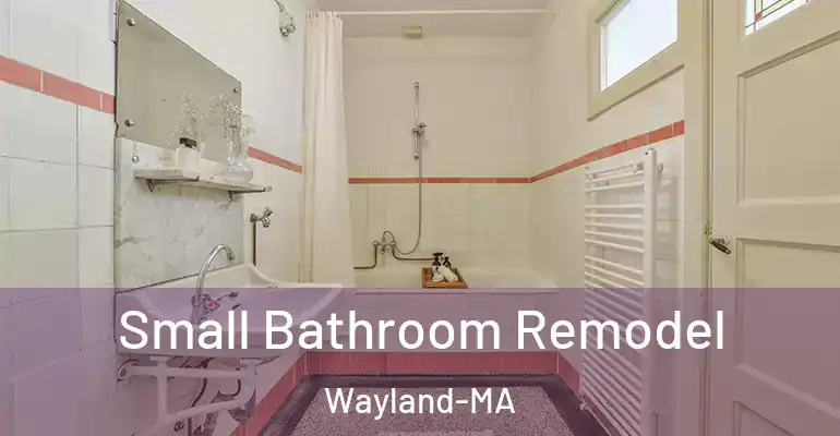 inner Bathroom imggen Small Bathroom Remodel Wayland-MA