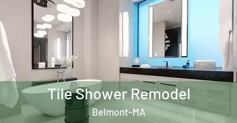 inner Bathroom imggen Tile Shower Remodel Belmont-MA