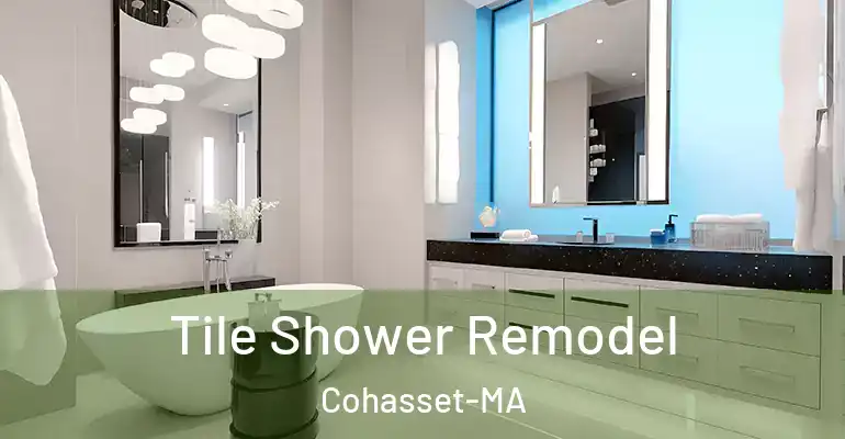 inner Bathroom imggen Tile Shower Remodel Cohasset-MA