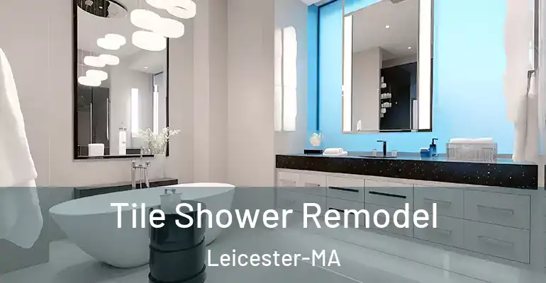 inner Bathroom imggen Tile Shower Remodel Leicester-MA