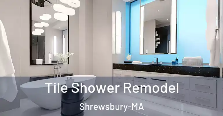 inner Bathroom imggen Tile Shower Remodel Shrewsbury-MA