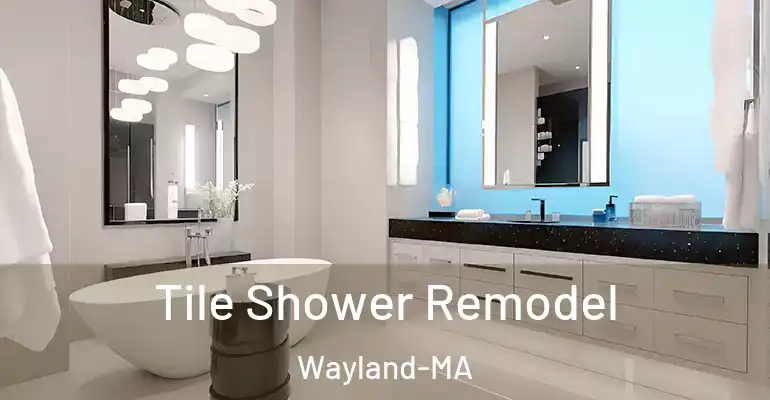 inner Bathroom imggen Tile Shower Remodel Wayland-MA