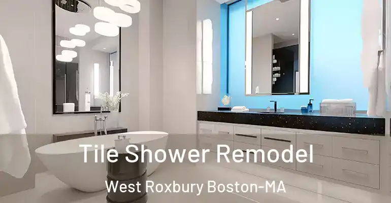 inner Bathroom imggen Tile Shower Remodel West Roxbury Boston-MA