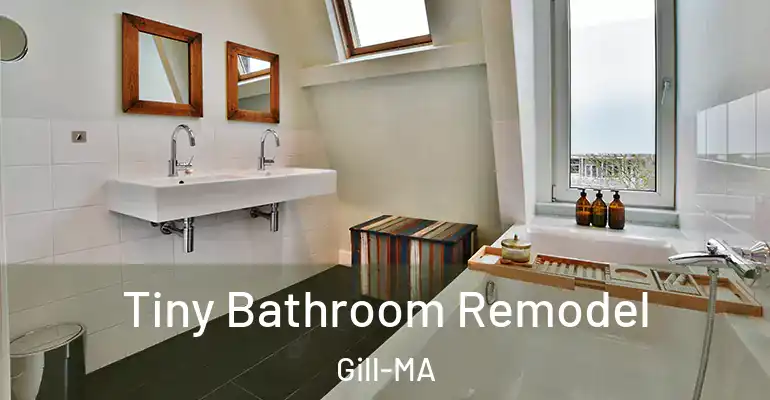 inner Bathroom imggen Tiny Bathroom Remodel Gill-MA