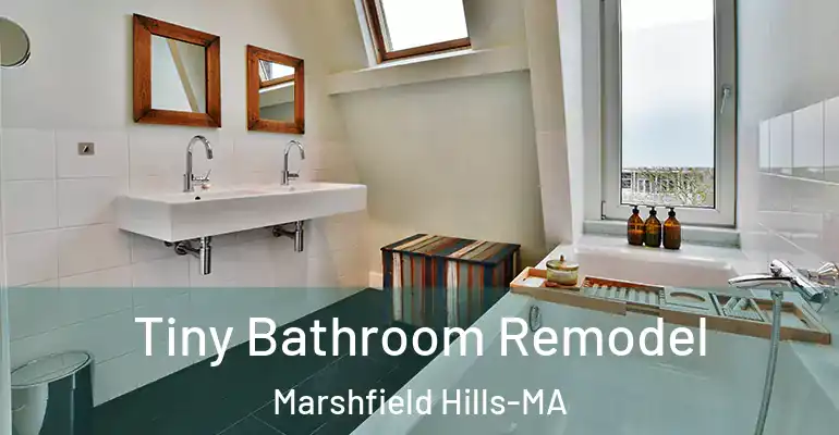 inner Bathroom imggen Tiny Bathroom Remodel Marshfield Hills-MA