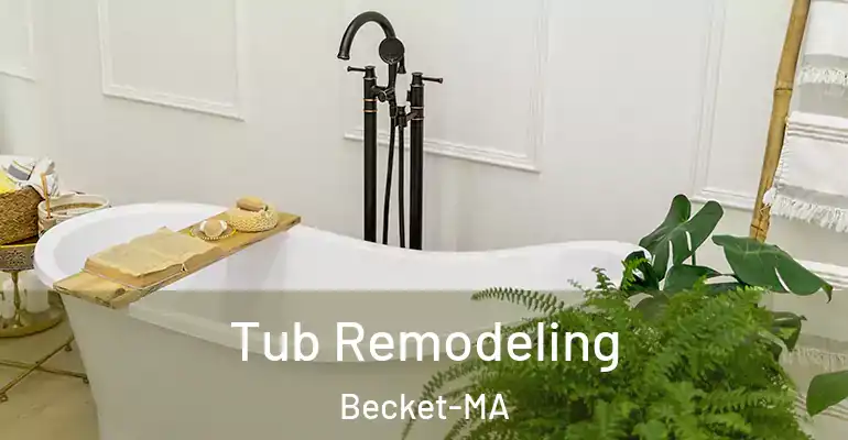 inner Bathroom imggen Tub Remodeling Becket-MA