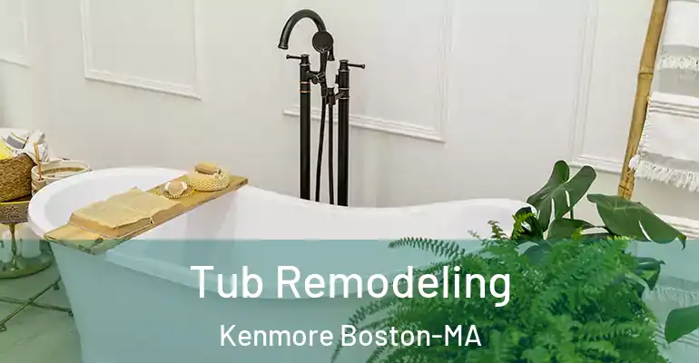 inner Bathroom imggen Tub Remodeling Kenmore Boston-MA