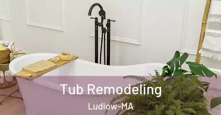 inner Bathroom imggen Tub Remodeling Ludlow-MA